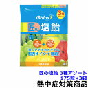 【熱中飴/熱中症対策】 匠の塩飴 3種アソート 175粒×3袋 【夏の塩分水分補給 暑さ対策 作業 あめ 塩】