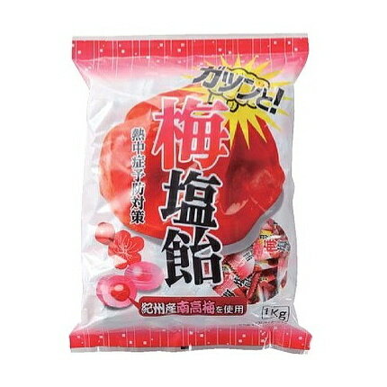 熱中飴熱中症対策ガツンと！梅塩飴1kg