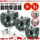 【期間限定ポイント5倍】【防水性能大幅UP】【安心の返品保証付き】猫よけ 超音波 3個セット 強力 ソーラー 鳥よけ センサー ねこよけ とりよけ グッズ 猫避...