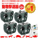 【期間限定ポイント10倍】【販売累計30000台】【安心の返品保証付き】猫よけ 超音波 4個セット 強力 ソーラー 鳥よけ センサー ねこよけ とりよけ グッズ...