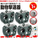 【防水性能大幅UP】【安心の返品保証付き】猫よけ 超音波 4個セット 強力 ソーラー 鳥よけ センサー ねこよけ とりよけ グッズ 猫避け 猫除け 庭に入って ...