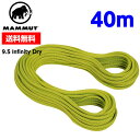 【25日限定抽選で100%Pバック+エントリーで5倍】MAMMUT マムート 【40m】9.5 Infinity Dry 2010-02641 11136 pappel-limegreen ■クライミング ロープ 軽量 アウトドア