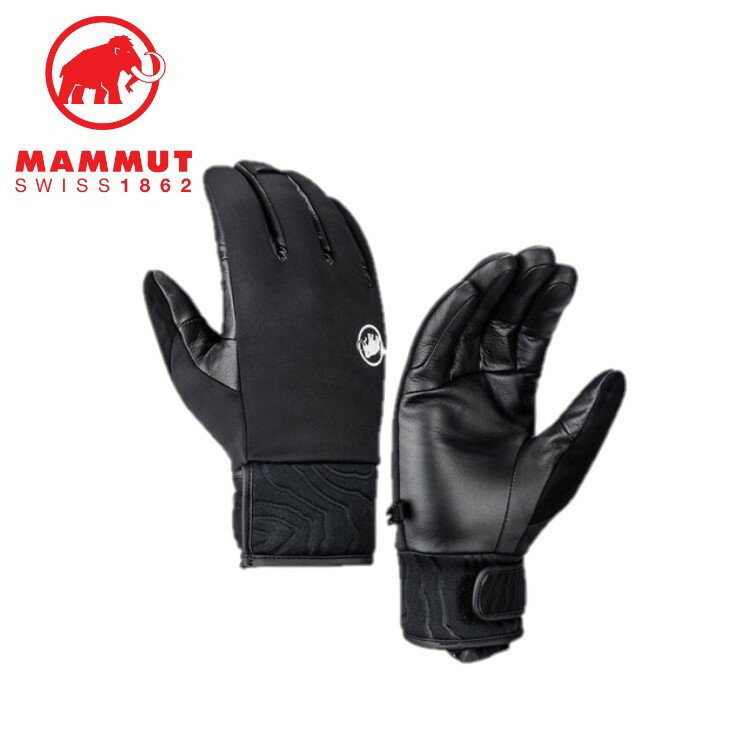 【10日限定エントリーでP10倍】24春夏 MAMMUT マムート メンズ レディース (ユニセックス) Astro Guide Glove 1190-00022 レザー ゴアテックス 手袋 グローブ 雪山 登山 ウィンタースポーツ