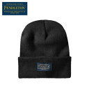 お薦め品 ペンドルトン PENDLETON メンズ レディース (ユニセックス) ビーニー 19801575098000 帽子 防寒 ニット帽 お洒落 おしゃれ オシャレ アウトドア キャンプ