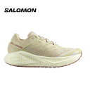 25春夏 サロモン Salomon メンズ AERO GLIDE 3 GRVL L47797300 靴 シューズ スニーカー ランニング グラベル