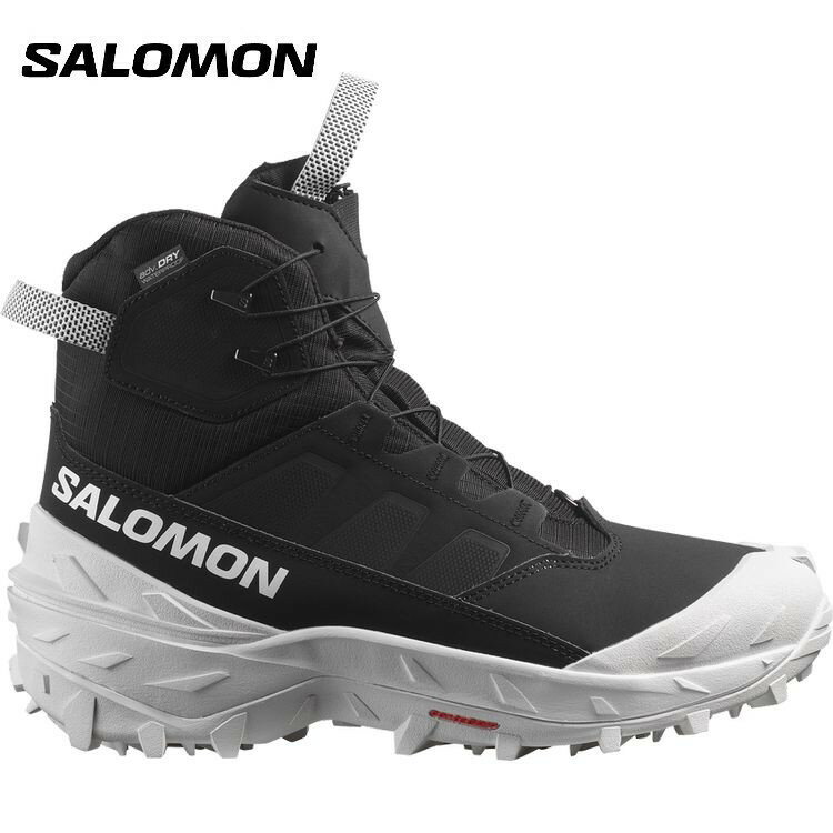 【全品ポイントUP中】 25秋冬 サロモン Salomon メンズ CROSSTRAK POWDER WATERPROOF L47569700 防水 ..