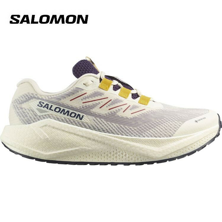 ★送料無料★【CP】 【全品ポイントUP中】 25秋冬 サロモン Salomon メンズ AERO BLAZE 3 GRVL GORE-TEX L47953200 ゴアテックス 防水 靴 シューズ トレラン ランニング グラベル オールラウンド スニーカー