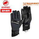 【20日限定抽選で100 Pバック エントリーで5倍】24春夏 MAMMUT マムート グローブ Nordwand Pro Glove 1190-00211GORE-TEX 防水 プロ仕様 登山 アルパイン スキー 雪山 EIGER