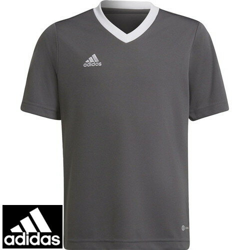 トランスポーツ 通販