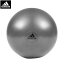【adidas】アディダス ADBL11245-GR エクササイズ ジムボール55cm[グレー][バランスボール/フィットネス/トレーニング用品/宅トレ/筋トレ/自宅/ジム]【RCP】