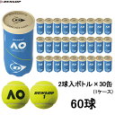 ■送料無料■【DUNLOP】ダンロップテニス DAOAYL2TIN AUSTRALIAN OPEN（ダンロップ オーストラリアン オープン）2球入×30缶(60球)[硬式テニスボール/試合球/国際テニス連盟公認球/日本テニス協会公認球]【※受注出荷ロット30缶】【RCP】