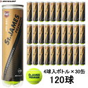 ■送料無料■【DUNLOP】ダンロップテニス STJPRMA4TI St.JAMES PREMIUM(セント・ジェームス・プレミアム) 4個入×30缶(120球)[テニスボール/硬式テニスボール/プラクティスボール/練習球]【※受注出荷ロット30缶】【RCP】