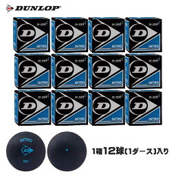 ■送料無料■【DUNLOP】ダンロップテニス DA50032 INTRO DA50012[スカッシュ/ボール/球/初心者向け/入門用ボール/【1ダース＝12球セット】/部活/クラブ/運動/練習]【※受注出荷ロット12球】【RCP】