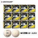 ■送料無料■【DUNLOP】ダンロップテニス DA50038 PROWHAPCS DA50038[スカッシュ/ボール/球/オールグラス/全面ガラス/【1ダース＝12球セット】/大会/専用球/クラブ/運動/練習]【※受注出荷ロット12球】【RCP】 その1