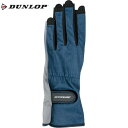 【DUNLOP】ダンロップテニス TGG0262W-545 レディース グローブ ネイルスルータイプ 両手セット[ネイビー][テニス/手袋/てぶくろ/レディースサイズ/S〜Lサイズ/トレーニング/部活/クラブ/チーム]【RCP】