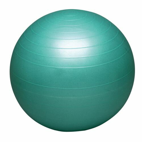 ■送料無料■【HATAS】秦/ハタ DB65 バランスボールセイフティー 65cm [マルチスポーツ/器具・備品]【RCP】(4)