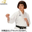 y~c{V/nezHAYATE KH34003 uAirize/GACYv Japan Karate Design Series㉺ZbgyTCYF3zy蓹p////zLZsyRCPz