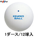 ■送料無料■【NAGASE KENKO】ナガセケンコー TSSWV ソフトテニスボール スタンタードWT (1ダース/12球入)【ソフトテニス/軟式テニス/ソフトテニスボール/球/1ダース/12個/部活動/クラブ/チーム】【※受注出荷ロット12球】【RCP】(4)