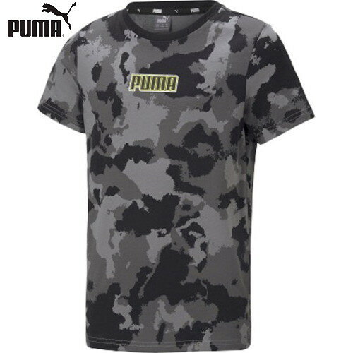 トランスポーツ ネット通販