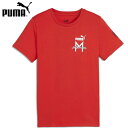 【PUMA】プーマ 774041-10 ACM ftblICONS TEE JR[プーマ レッド][半袖/半そで/Tシャツ/半袖シャツ/トレーニングシャツ/ランニングシャツ/練習着/トレーニングウェア]【RCP】