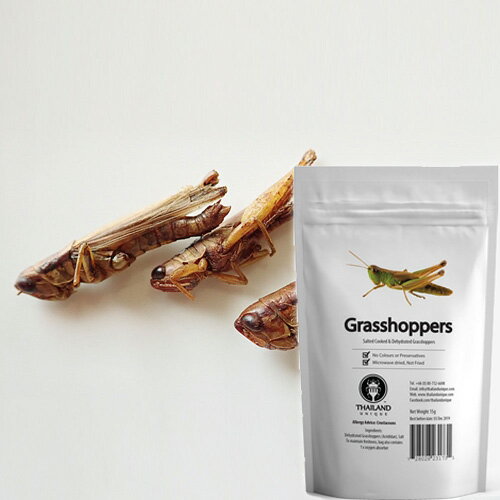 【アールオーエヌ】RON昆虫食 TIU0002 Grasshoppers 15g (グラスホッパー15g) 今後の人類社会の食糧と..