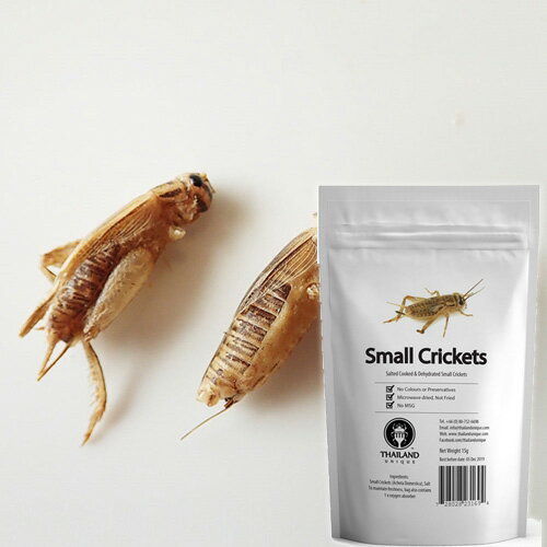 【アールオーエヌ】RON昆虫食 TIU0004 Small Crickets 15g (ヨーロッパイエコオロギ15g) 今後の人類社..