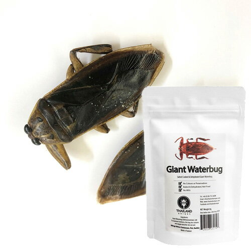 【アールオーエヌ】RON昆虫食 TIU0012 Giant Waterbugs 8g (タガメ8g) 今後の人類社会の食糧として環境負荷が少ない食べ物としても期待..