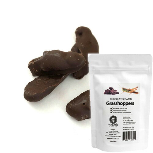 【アールオーエヌ】RON昆虫食 TIU2003 Chocolate coated grasshoppers (チョコレートグラスホッパー) 今後の人類社会の食糧として環境..