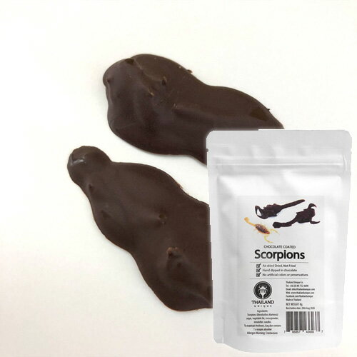 【アールオーエヌ】RON昆虫食 TIU2006 Chocolate coated scorpions (チョコレートサソリ) 今後の人類社..