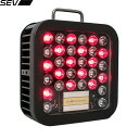 ★メーカー直送品★送料無料★【SEV】セブスポーツ SA01112 SEV RED Ray(セブ レッドレイ)[光のエネルギーを利用しSEVの特許技術を最大限に活用するデバイス] (※キャンセル不可/代金引換・後払い決済不可※事前銀行振込orカード決済のみ)【RCP】