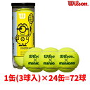 ■送料無料■【WILSON】ウイルソン WR82025010 MINIONS STAGE 1 TBALL【※受注出荷ロット(3球入)×24缶】キッズ/ジュニア/テニス/ボール/練習/トレーニング/硬式テニス/スターター/チーム/子ども/クラブ/1缶(3球入)/ミニオン/可愛い【RCP】