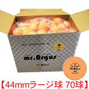★在庫あり即納★●照和●(ショウワ) プラワン ラージ1スター70P (OR 70球) 70球入/箱【44mmオレンジ球】(PLA-ONE-Large 70個)...