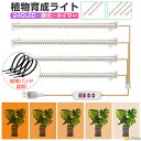 【100円OFFクーポンあり】植物育成ライト LED 植物成長ライト LED電球 太陽光 LED植物育成ライト 多肉植物 観葉植物育成ライトフルスペクトル スタ...