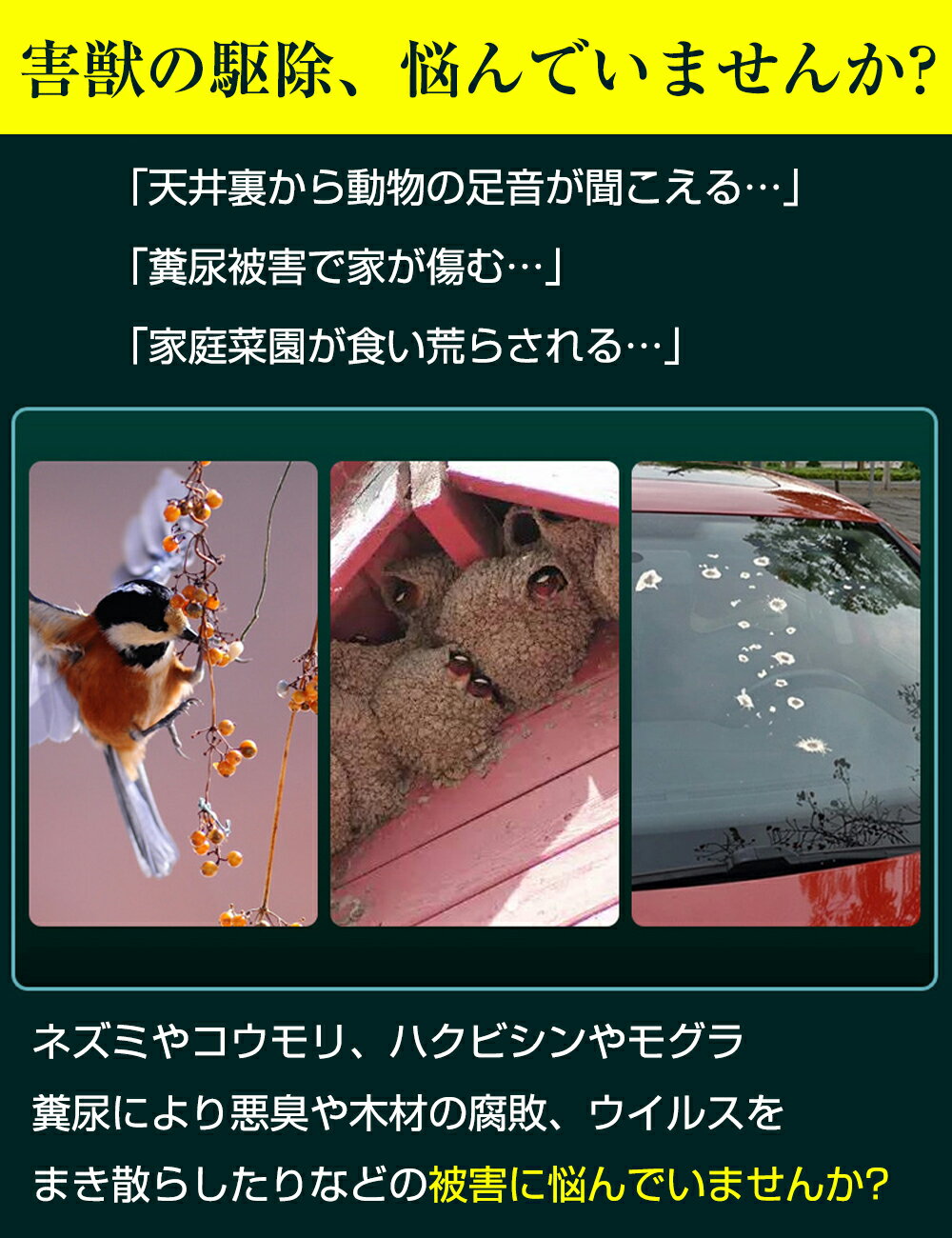 ������50̾��Ⱦ�ۥ����ݥ��1880�ߡ�Ķ���� ưʪ����� �����顼�� ���÷���� ǭ�褱 ���饹 ȷ�褱 Ļ�� �ͥ��� ���ö�� �⥰����� ���� ���� ���ϰ� ���������祢�å� ĶĹ�Ե� �ɿ��ɿ� ������ �� �� �� �����к��� ���̤��ޤ����� �����Ǻ� 2/4/6/8�ĥ��å�