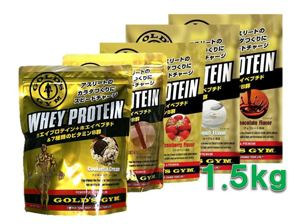 ڥݥ11ܡ 㤤ʪޥ饽 ۥɥ ץƥ 衼 1500g GOLD's GYM ۥץƥ Ƽ