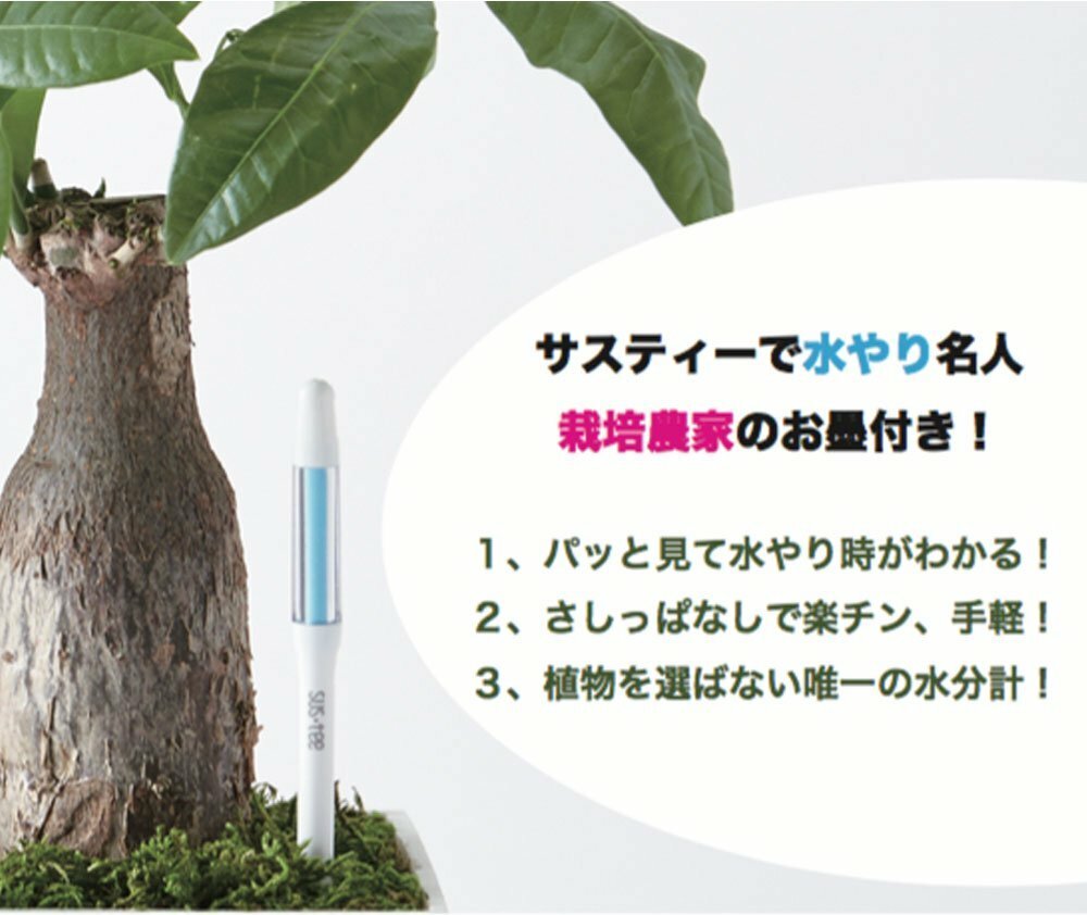 水やり水分計 サスティー ロング 交換用リフィルセット ホワイト Sustee 6 12号用 Lサイズ 国内発送