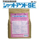 【単品11個セット】Aゴキブリほう酸ダンゴ コンクゴキンジャム16P アース製薬(代引不可)【送料無料】