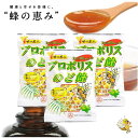 【ポイント10倍★お客様感謝デー限定 】【お得な3個セット】サンフローラ プロポリスのど飴