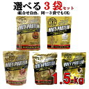 選べる 3袋 セット プロテイン ホエイプロテイン ゴールドジム 1500g 各種 【 GOLD’s GYM 】【 全国一律 送料無料 】 チョコレート ストロ...