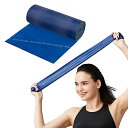 D&M セラバンド トレーニングバンド 5.4m 強度レベル+2 マニュアル付 THERABAND トレーニングチューブ レジスタンスバンド 国内正規輸入代理店