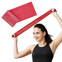 D&M セラバンド トレーニングバンド 初心者向け レッド TBE-2 マニュアル付 トレーニングチューブ レジスタンスバンド