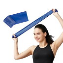D&M セラバンド トレーニングバンド 初心者向け 1m 強度レベル+2 マニュアル付 切って使える レジスタンスバンド