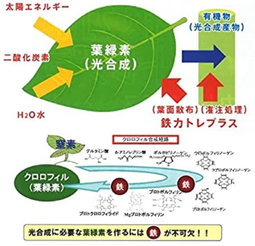 鉄力トレプラス 1L