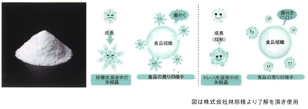 鉄力トレプラス 1L