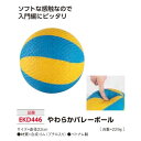 【ポイント10倍★O&5の付く日限定 】エバニュー ヤワラカバレーボール+ バレーソフトバレーボール