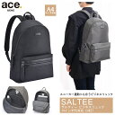 【新商品】【送料無料】エースジーン(ace. GENE LABEL) サルティー ビジネスリュック スニーカー通勤 14インチPC対応 10427 バックパック ( リュックサック レディース リュック ビジネス ビジネスバッグ デイパック 通勤リュック エース 通勤用 パソコン バッグ 大人 通勤 )