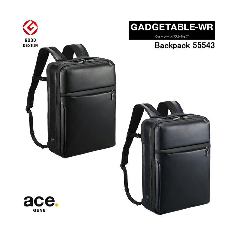 【送料無料】エースジーン(ace. GENE LABEL)ガジェタブルWR(GADGETABLE WR)バックパック 15L 55543 B4/15インチPC ビジネスリュック ウォーターレジストタイプ ( リュック エース ビジネスバッグ リュックサック ビジネス バッグ バック カバン 通勤バッグ 男性 PC 多機能 )