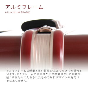 スーツケースキャリーバッグキャリーバックキャリーケース機内持ち込み可無料受託手荷物小型SSサイズ2日3日容量拡張機能搭載ダブルキャスターメーカー1年修理保証旅行用かばんLEGENDWALKERレジェンドウォーカー『5102-49』