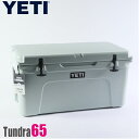 ꥢȥåȾʡۥƥ 顼 ɥ 65 ꡼ Tundra 65 Sagebrush Green YETI Coolers