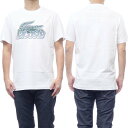 (RXe)LACOSTE YN[lbNTVc TH5070 zCg